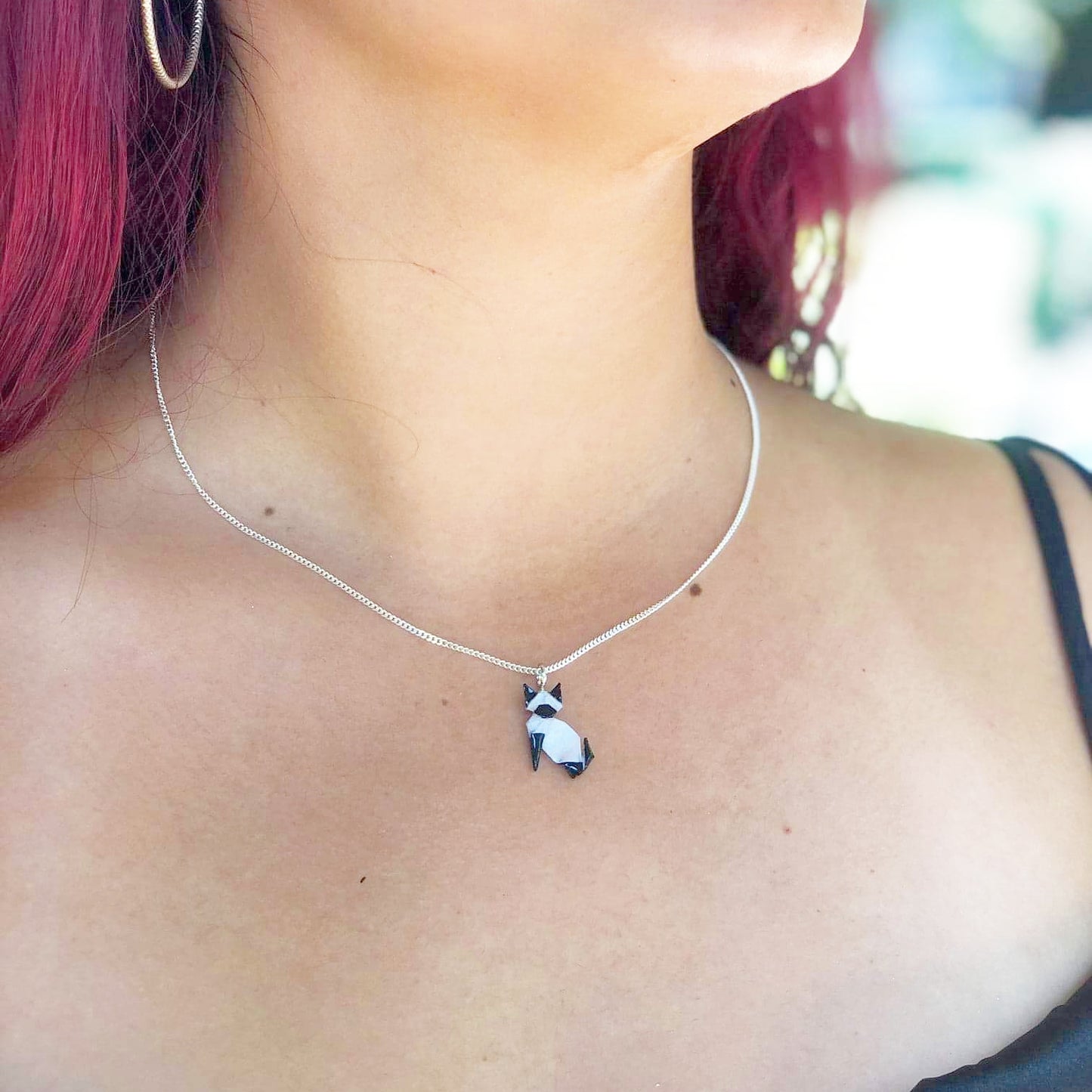 Collar gato siamés
