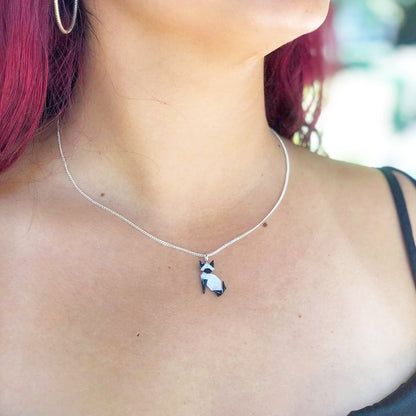 Collar gato siamés